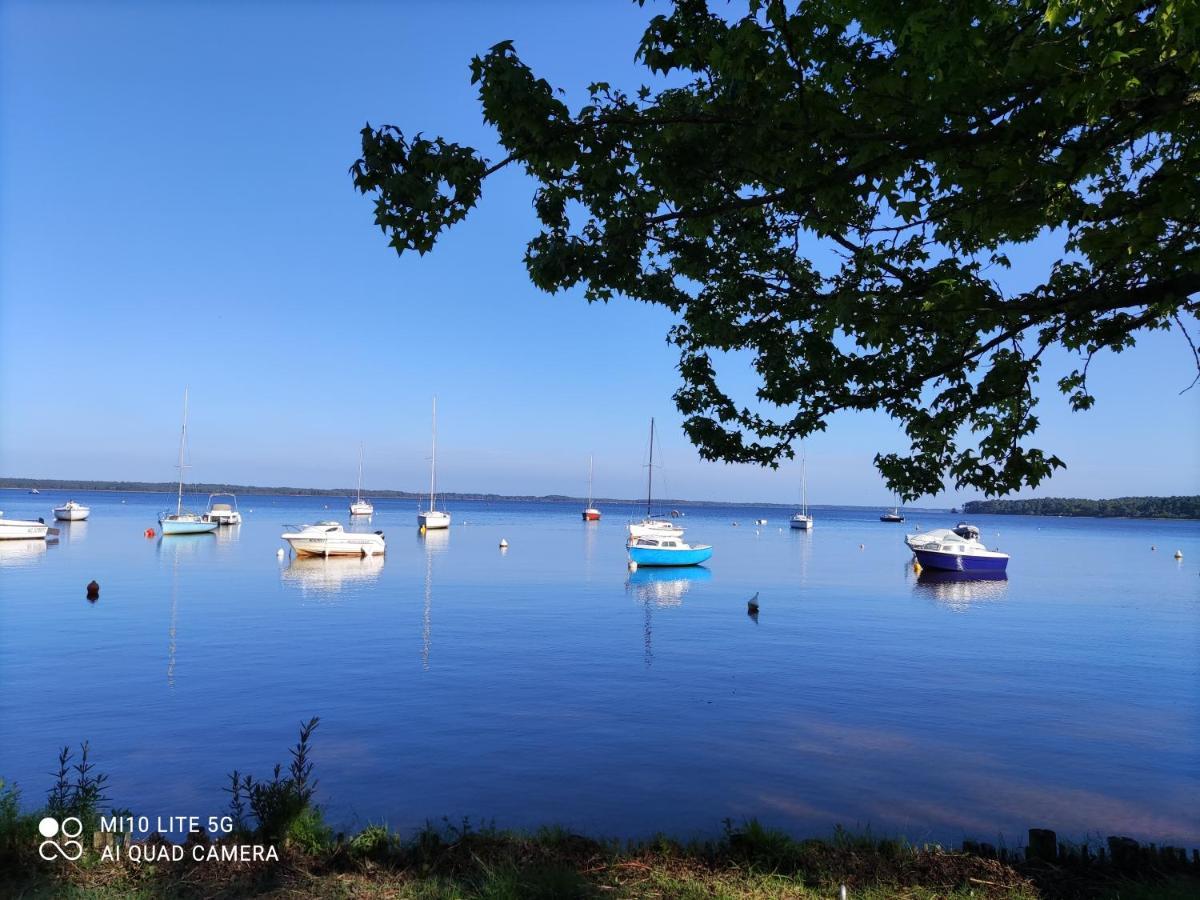 La Tête Dans Les Pins Les Pieds Dans L Eau Appartement *